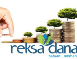 Investasi Rexsadana, Pilihan Tepat untuk Investor Pemula